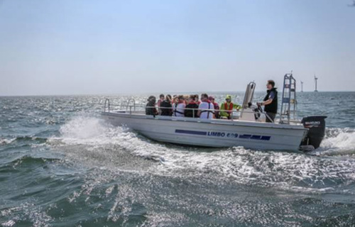 Limfjordssafari Handbjerg Marina